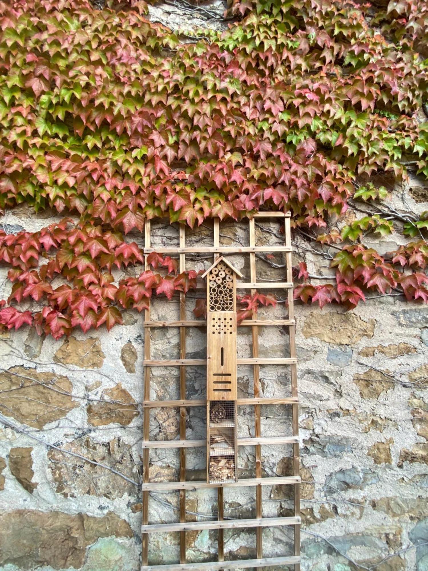 Les Caselles, Et 4* Saint-Beauzely